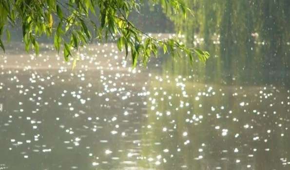  ������� ���� �������� �������� ��� ����������� ������� ������ 