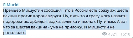 «Подорожник, арбидол, водка, зеленка и икона с Путиным»: Мишустин заявил о наличии в РФ сразу шести вакцин против коронавируса – эксперт