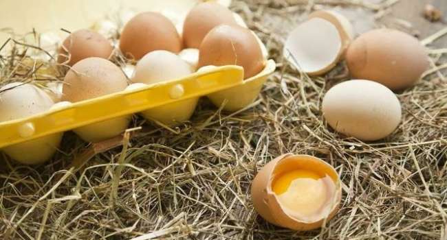 Новая опасность: ученые назвали главное вредное свойство яиц