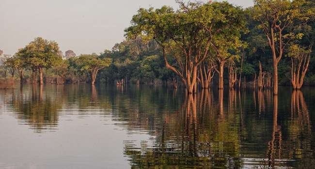 Амазонка, Карибский бассейн и другие регионы: ученые предупредили о полном исчезновении самых важных экосистем планеты