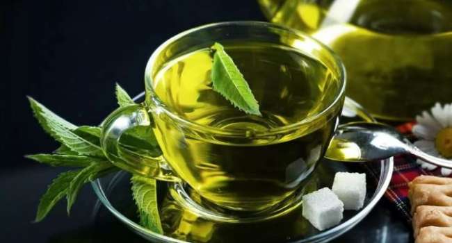 Медики назвали еще одно уникальное свойства зеленого чая