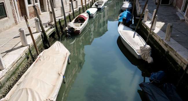 Во всем есть свои плюсы: в Венеции после введения карантина вода в каналах стала абсолютно прозрачной