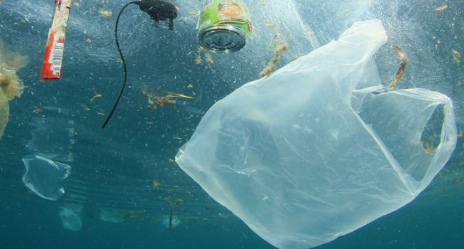 Японские ученые создали безопасный пластик, разлагающийся в морской воде
