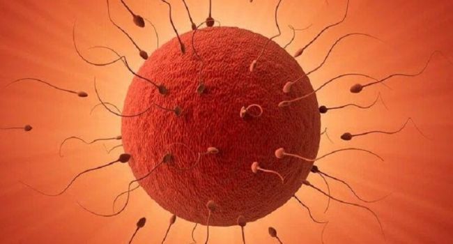 «Панацея от вирусов»: Половой акт укрепляет иммунитет