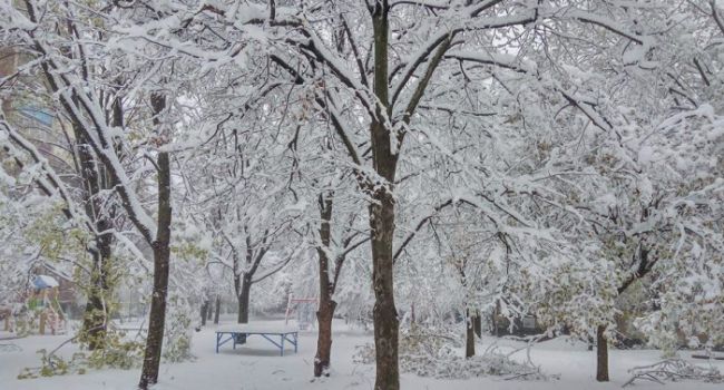 Гололедица и умеренный снег: сегодня в Украину придет похолодание