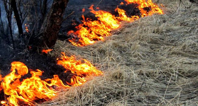 Во Львове загорелся газопровод из-за поджога сухой травы