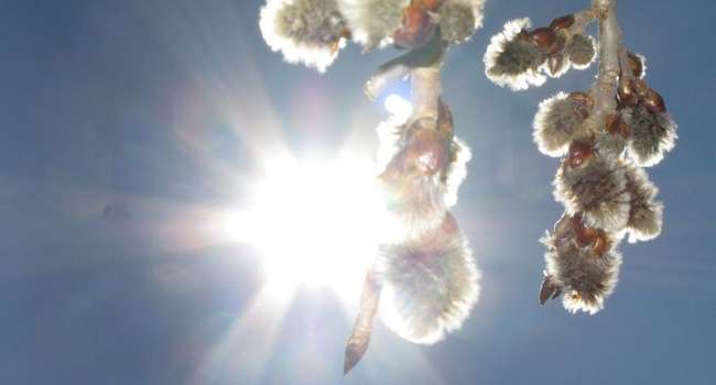  ���������� ������� ����������� �������� ��������� ������ ����� 