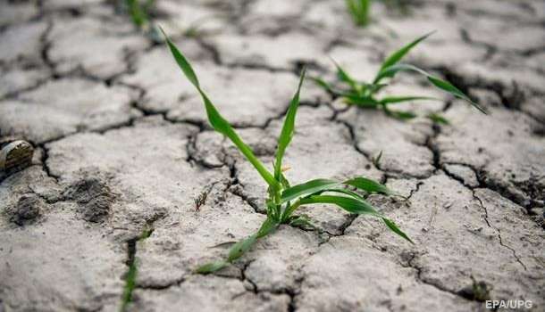  ������� ������ ����������� ������������� ���� 