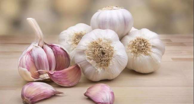  ������ ������� ��������� �������� �������� ������� 