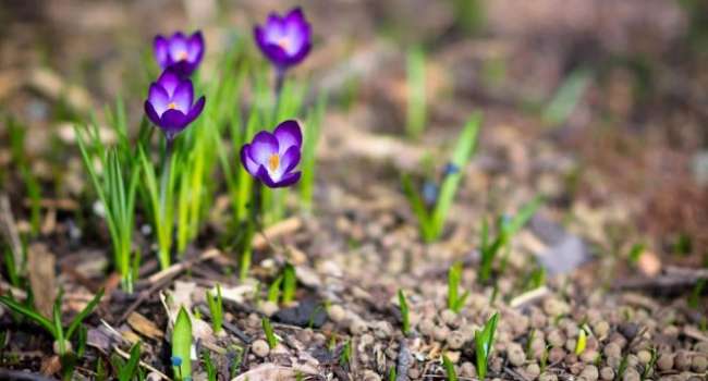  ���������� ����� ����� ������� ��������� ���������� ������ 