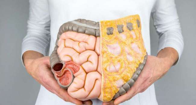  ������ ������� �������� ������������ ����� ��������� 