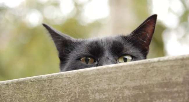  ������� �������� ���������� ����� ������� ���� 