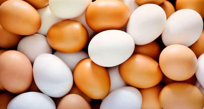  ������ ��������� ��� ����������� 