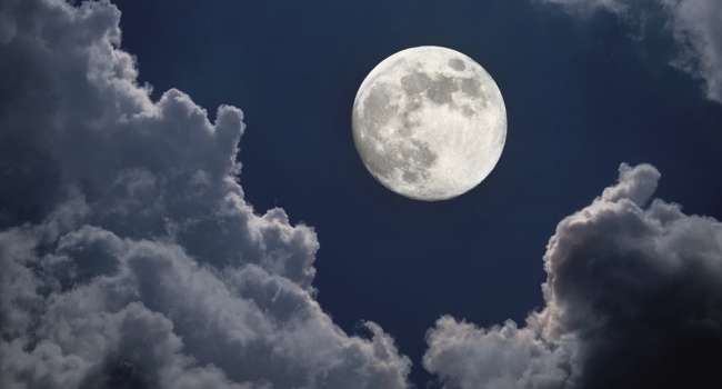 ����: replyua.net