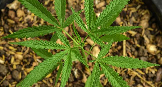  �������� ������� ����������� ������� ������ ������������ ������� ����� 