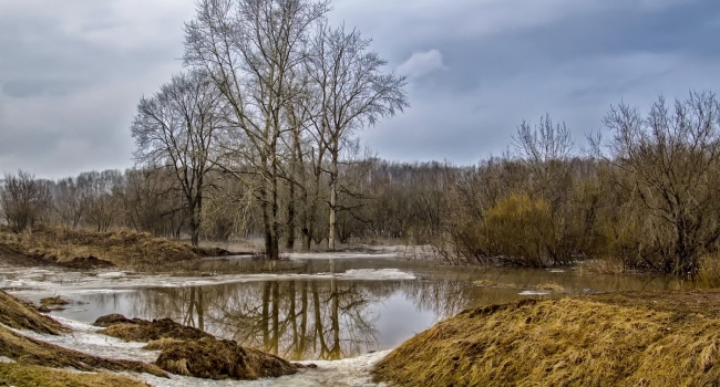  ������� ���������� �������� ������������ ������� ������ ����������� 