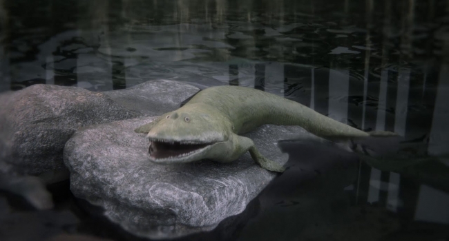  ������������� ������ ���������� ���������� ���� 