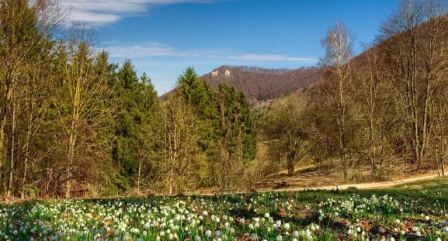  ������� ��������� ���������� ��������� ������ �������� 