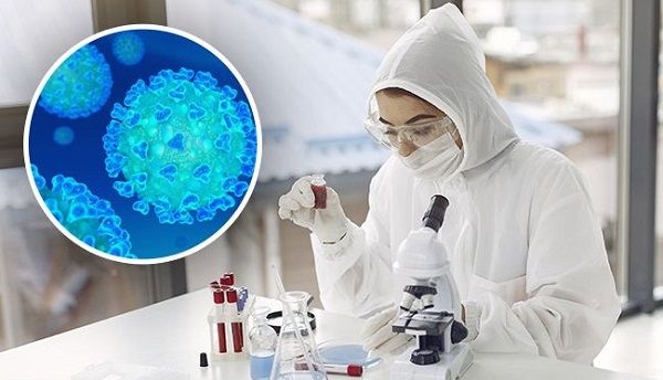 Эксперты обнаружили неожиданную правду о происхождении коронавируса