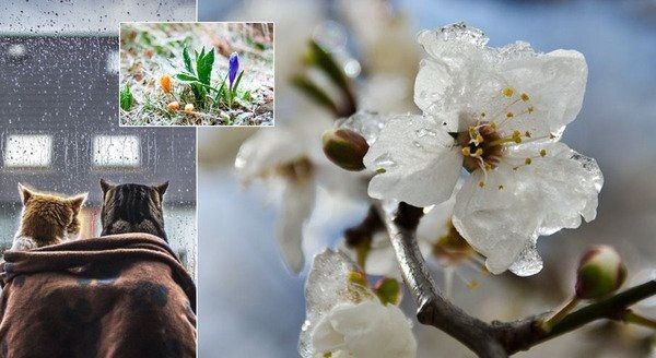 Под влиянием длинного фронта: синоптики дали холодный прогноз на начало недели 