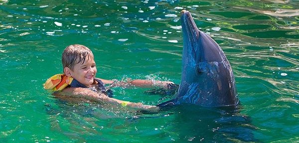 Эксперты рассказали об общих чертах человека и дельфинов 