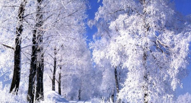 «От -22 мороза и до +33 тепла»: В «Укргидрометцентре» удивили прогнозом погоды на апрель месяц
