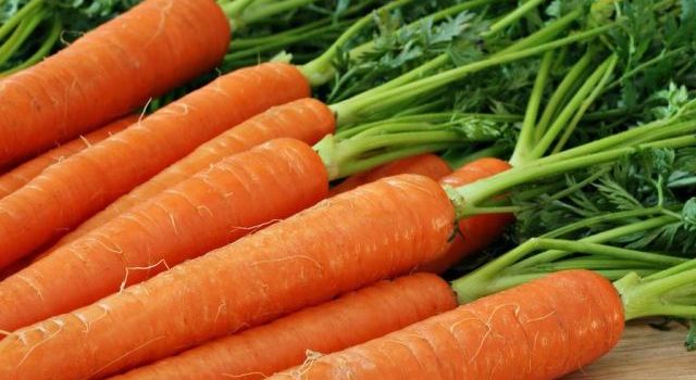 Стала известна польза моркови
