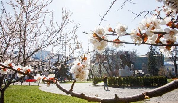 Идет настоящая весна: украинцев порадовали прогнозом погоды на неделю