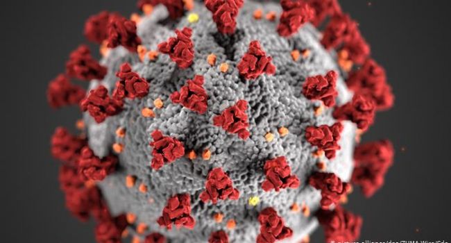 В Минздраве прокомментировали смертность от коронавируса в Украине 