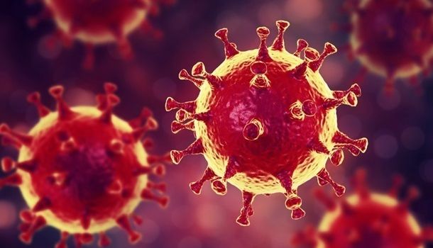 В США создан искусственный вирус, способный блокировать коронавирус 