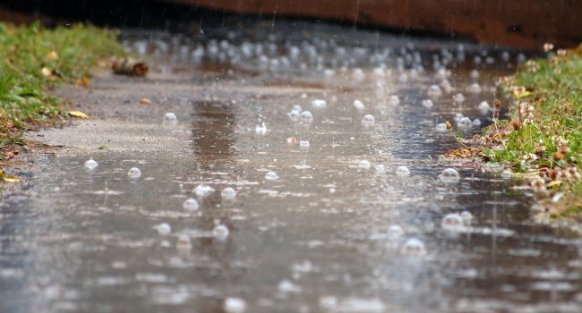 Органическое соединение: ученые объяснили, почему запах после дождя сильно притягивает