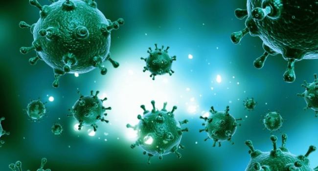 Это все-таки случилось: ученые обнаружили вирусы, превращающие в «зомби»