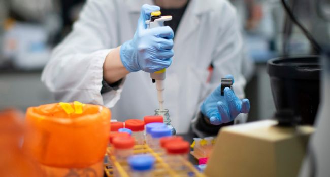 Специалисты Южной Кореи нашли сразу 38 антител, способных уничтожить коронавирус 