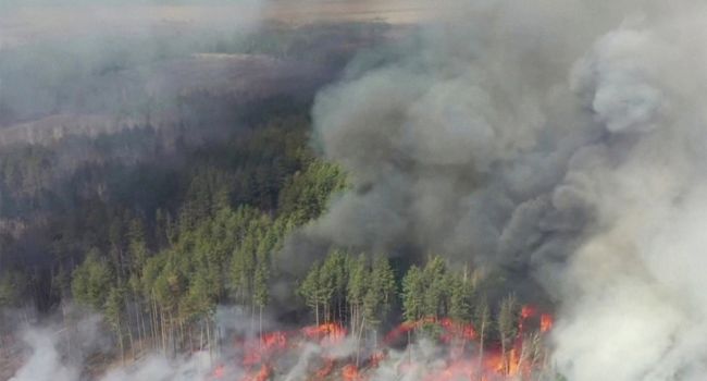 С точки зрения радиоактивности пожар в Чернобыльской зоне не оказывает негативного влияния на здоровье людей - мнение