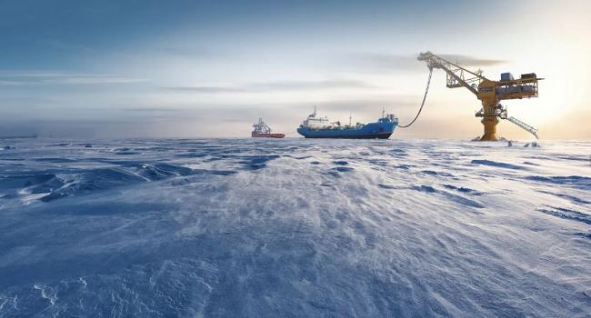 «Пожирает нефть»: российские ученые обнаружили уникальные бактерии в Арктике