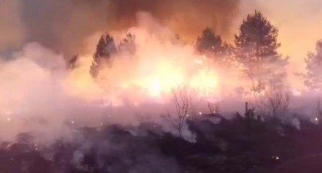 Пожары продолжаются: В Житомирской области для ликвидации бедствия будут применять технику ВСУ 