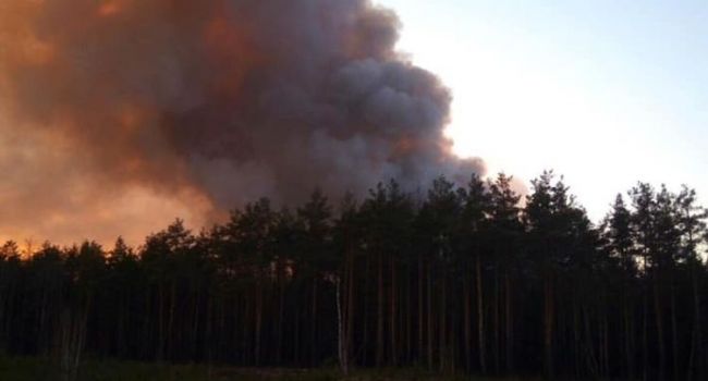 «Пожары в Житомирской области»: Армия Украины направила спецтехнику в помощь ГСЧС