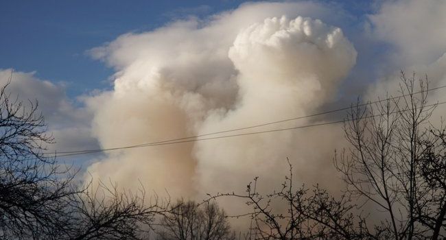 «Коррупция в Украине»: Билецкий озвучил истинную причину пожаров в Житомирской области