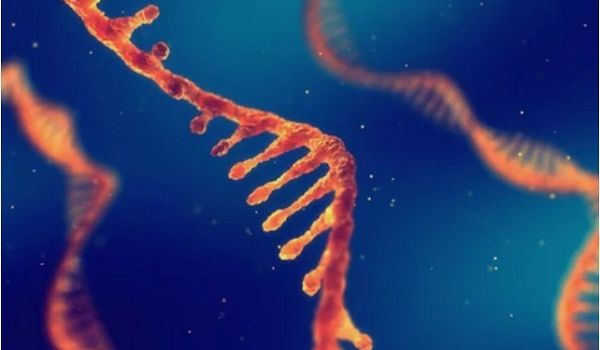 Ученые представили новый способ анализа генетических кодов коронавируса для разработки вакцины