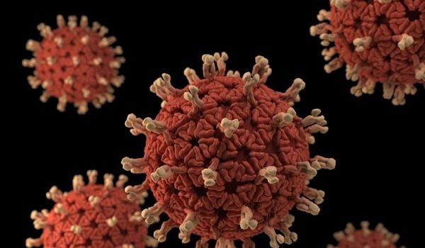 Ученые выяснили тайну вируса, жертвами которого каждый год становятся 200  тысяч человек