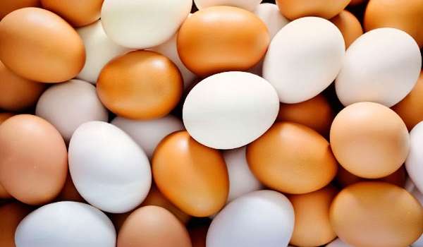 Эксперты рассказали, что происходит с организмом при ежедневном употреблении яиц