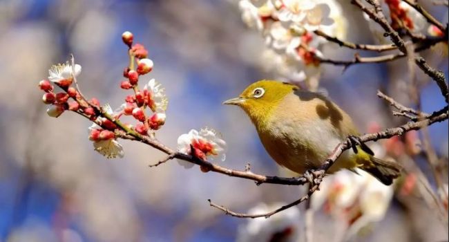  ������� ������� ������� ����� �������� ���������� ������ ��������� 