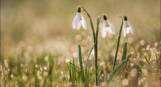  ����� ������� ������ ����� �������� ������ ��������� 