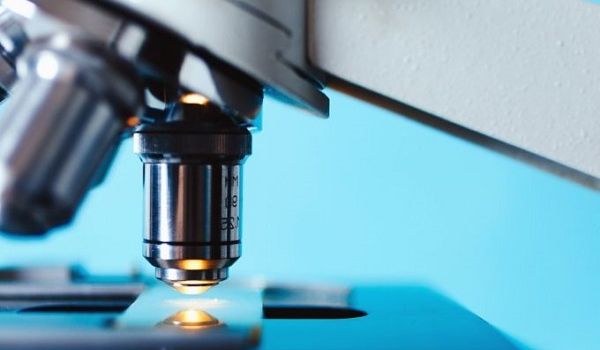 ����: replyua.net