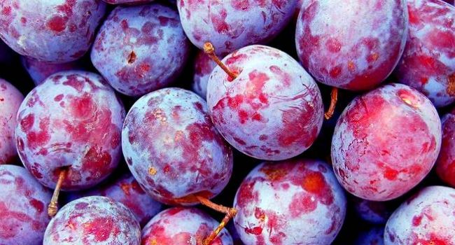 ����: replyua.net