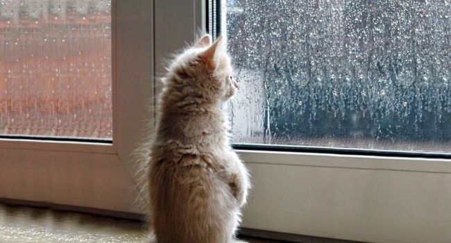  ����� ������ �������� ���������� ������ ������� 