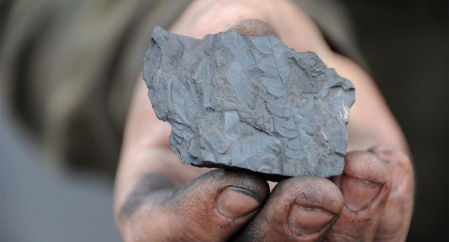 ����: replyua.net