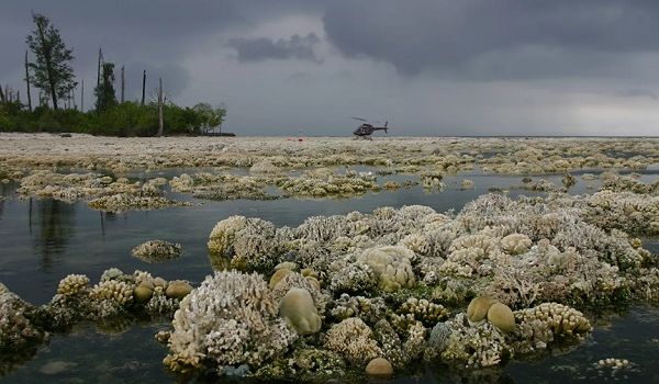  �������� ���������� ������ ������ ������� �������� ������������� ���������� 