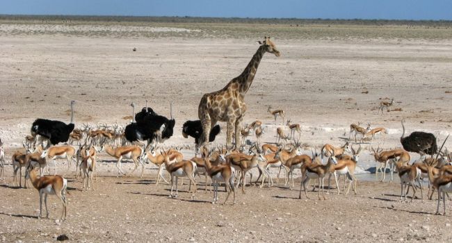  ������ ������������ ������ ��������� ������ ����� ������� ��������� 