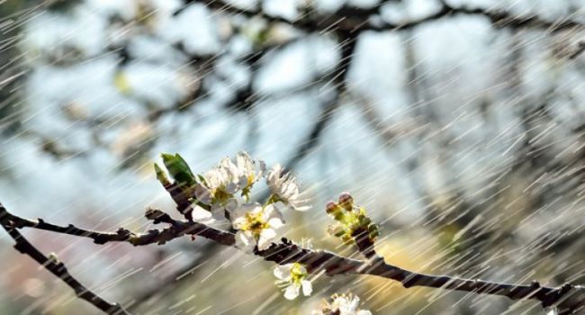  ����� ���� ��������� ������� ��������� 